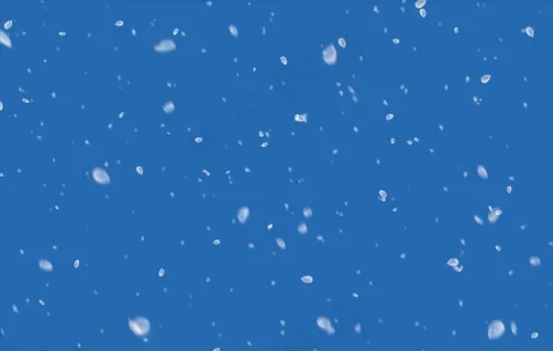 白色粉色飘落的花瓣影楼COS图片