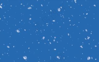 白色粉色飘落的花瓣影楼COS图片