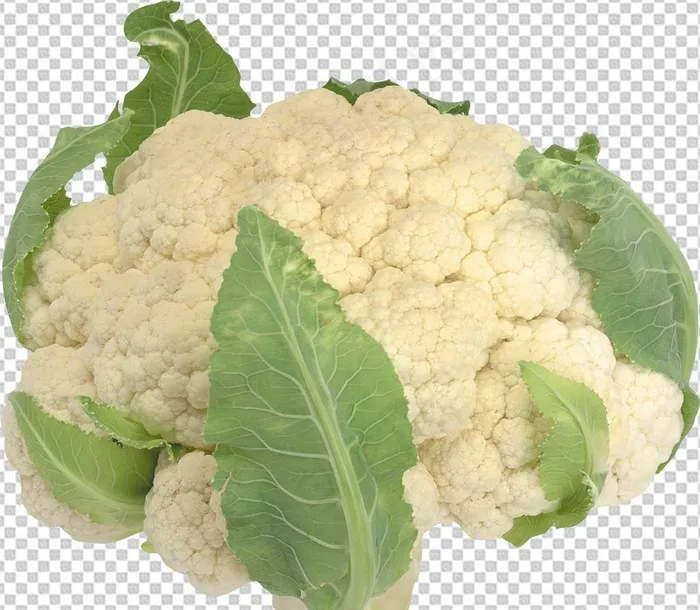 花菜图片psd模版下载