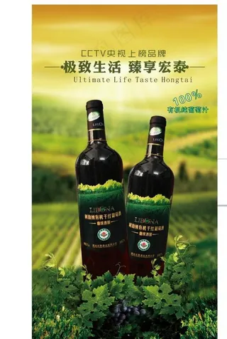 红酒海报图片