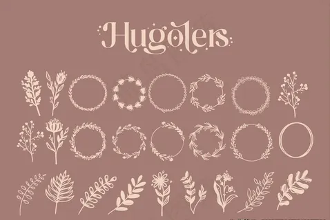 黑白线描花枝花草剪影图片