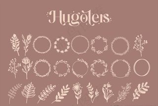 黑白线描花枝花草剪影图片