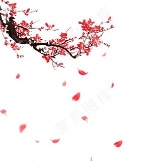 中式梅花花瓣图片