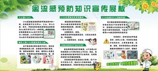 禽流感预防宣传展板图片