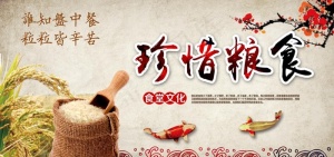 节约粮食图片