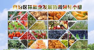 水果展板 农果展板 水果排版图片