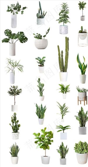 室内设计绿色植物盆栽png素材图片