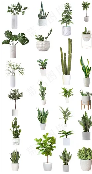 室内设计绿色植物盆栽png素材图片 室内设计绿色植物盆栽png素材图片