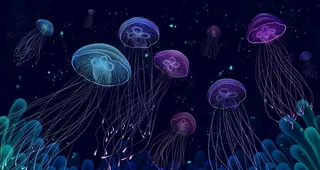 发光水母珊瑚图片