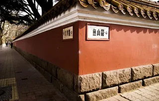 青岛大学路图片