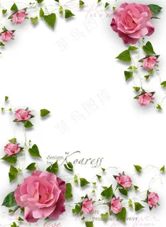 玫瑰花边框图片