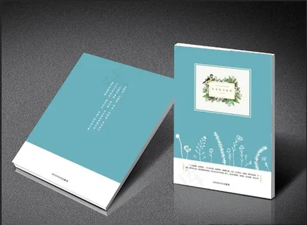 书籍封面封底图片