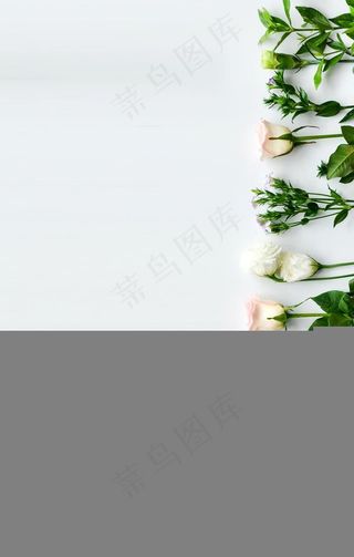 海报背景 展板背景 背景元素图片