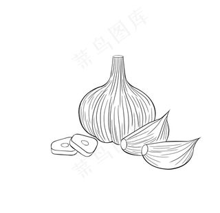 蒜图片