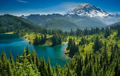 美国公园湖泊山森林风景攝影云杉图片