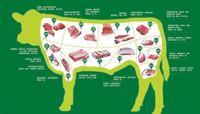 牛肉分割图图片(5669X3402(DPI:72))psd模版下载