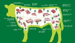 牛肉分割图图片