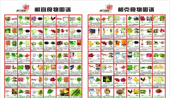 食物相宜相克图片cdr矢量模版下载