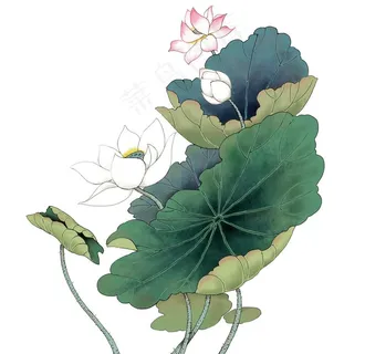 水墨风荷花图片 水墨风荷花图片