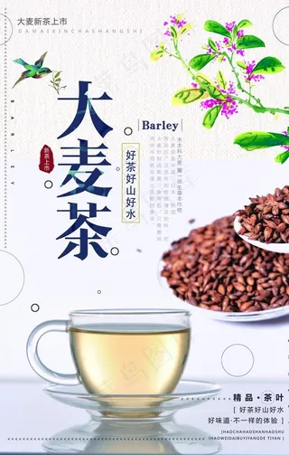 大麦茶海报图片