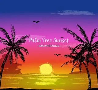 手绘海滩夕阳和棕榈树图片