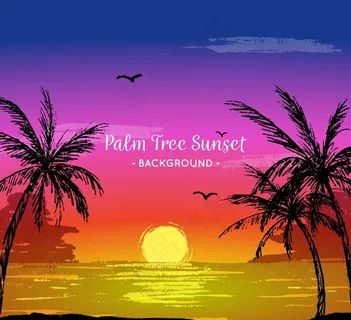 手绘海滩夕阳和棕榈树图片 手绘海滩夕阳和棕榈树图片