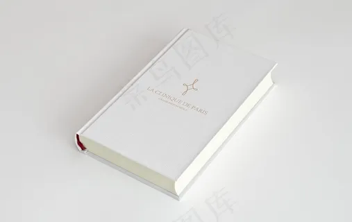 样机 VI  模板  标签图片