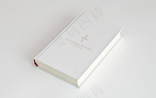 样机 VI  模板  标签图片