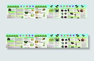 桑叶桑椹展板图片