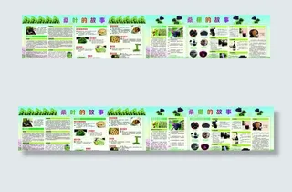 桑叶桑椹展板图片