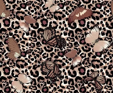 豹纹 蝴蝶 花图片 豹纹 蝴蝶 花图片