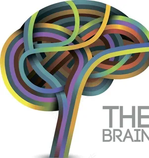 大脑思维树图片