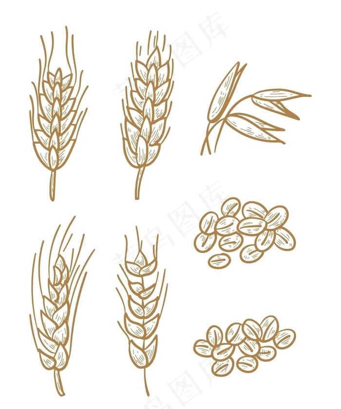 手绘线描燕麦图片ai矢量模版下载