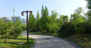 公园路灯图片