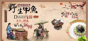 甲鱼背景墙图片