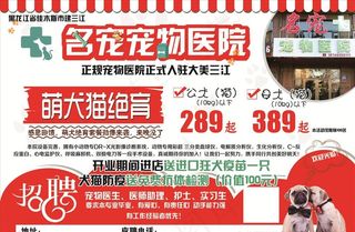 名宠宠物医院图片
