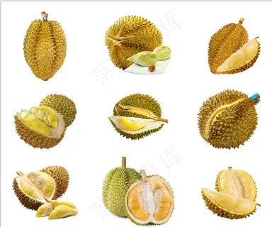 榴莲图片