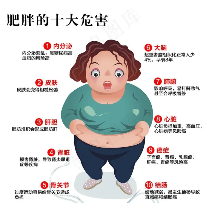 肥胖的十大危害图片