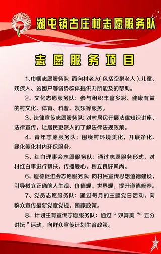 志愿队制度图片