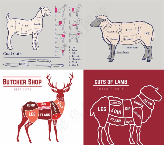 家禽解剖分割结构图 矢量 牛肉图片