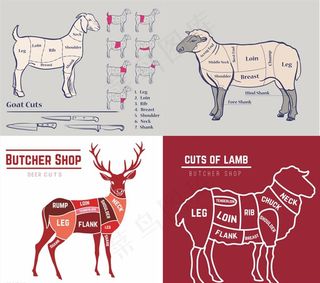 家禽解剖分割结构图 矢量 牛肉图片