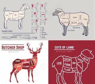 家禽解剖分割结构图 矢量 牛肉图片