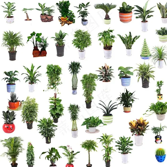 绿植素材图片(17717X17717(DPI:300))psd模版下载