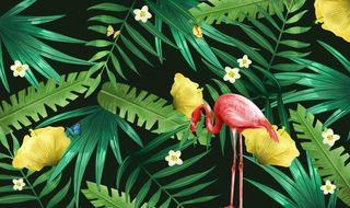 手绘植物花卉图片