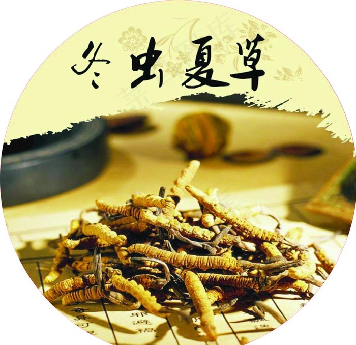 冬虫夏草图片(2638X2638(DPI:100))psd模版下载