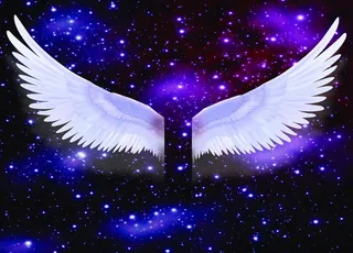 梦幻婚礼翅膀图片