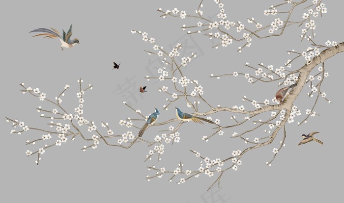 花鸟图片(12756X7937(DPI:72))psd模版下载