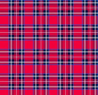 线条格子 红格子 斜线格 复杂图片