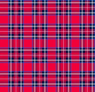 线条格子 红格子 斜线格 复杂图片