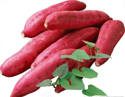 高清免扣分层红薯素材图片